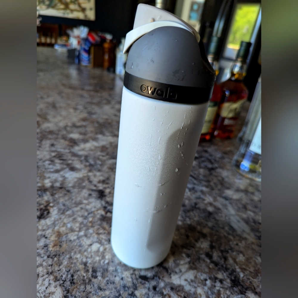 Owala freesip 24oz water bottle in sleek